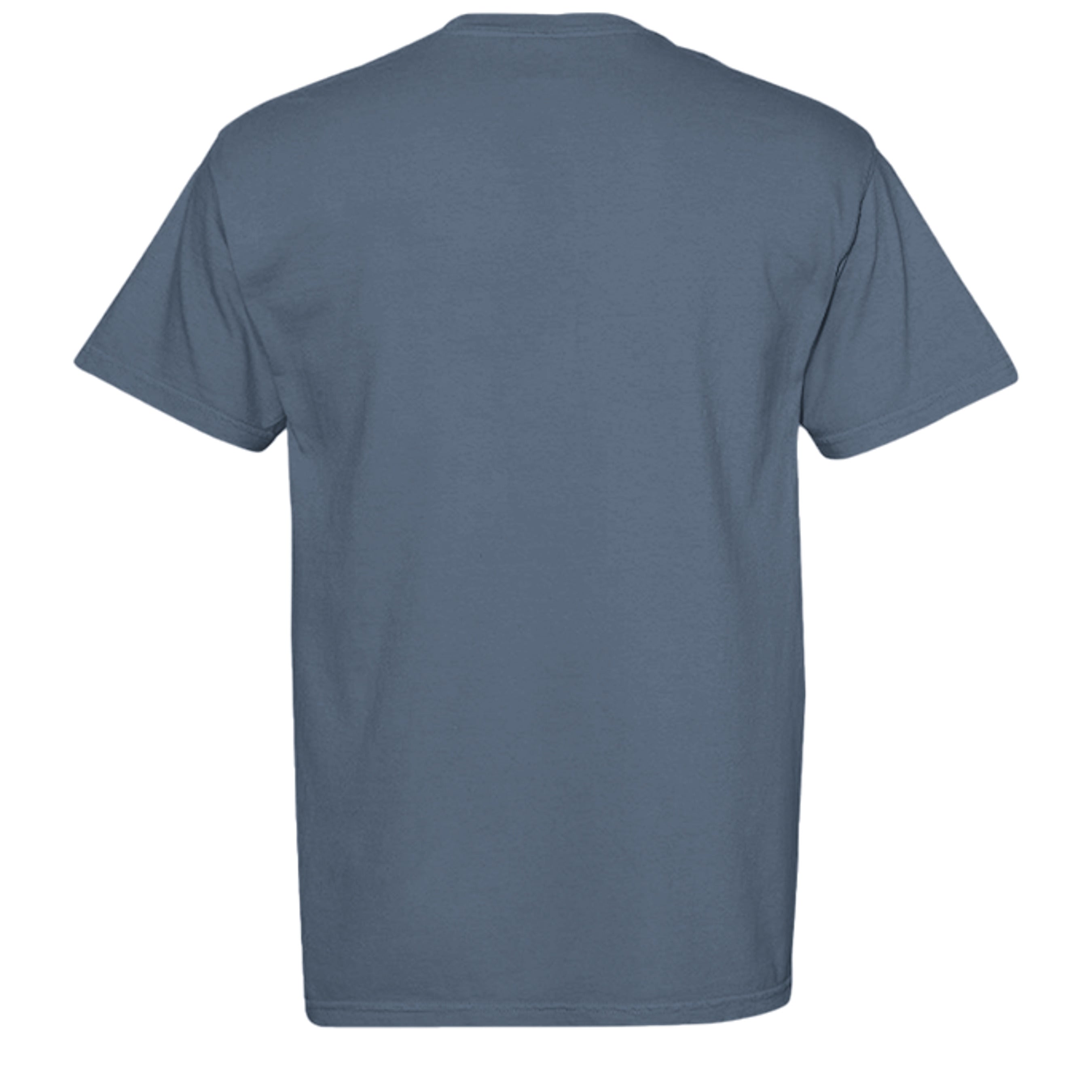 BLUE JEAN - C1717 - BACK