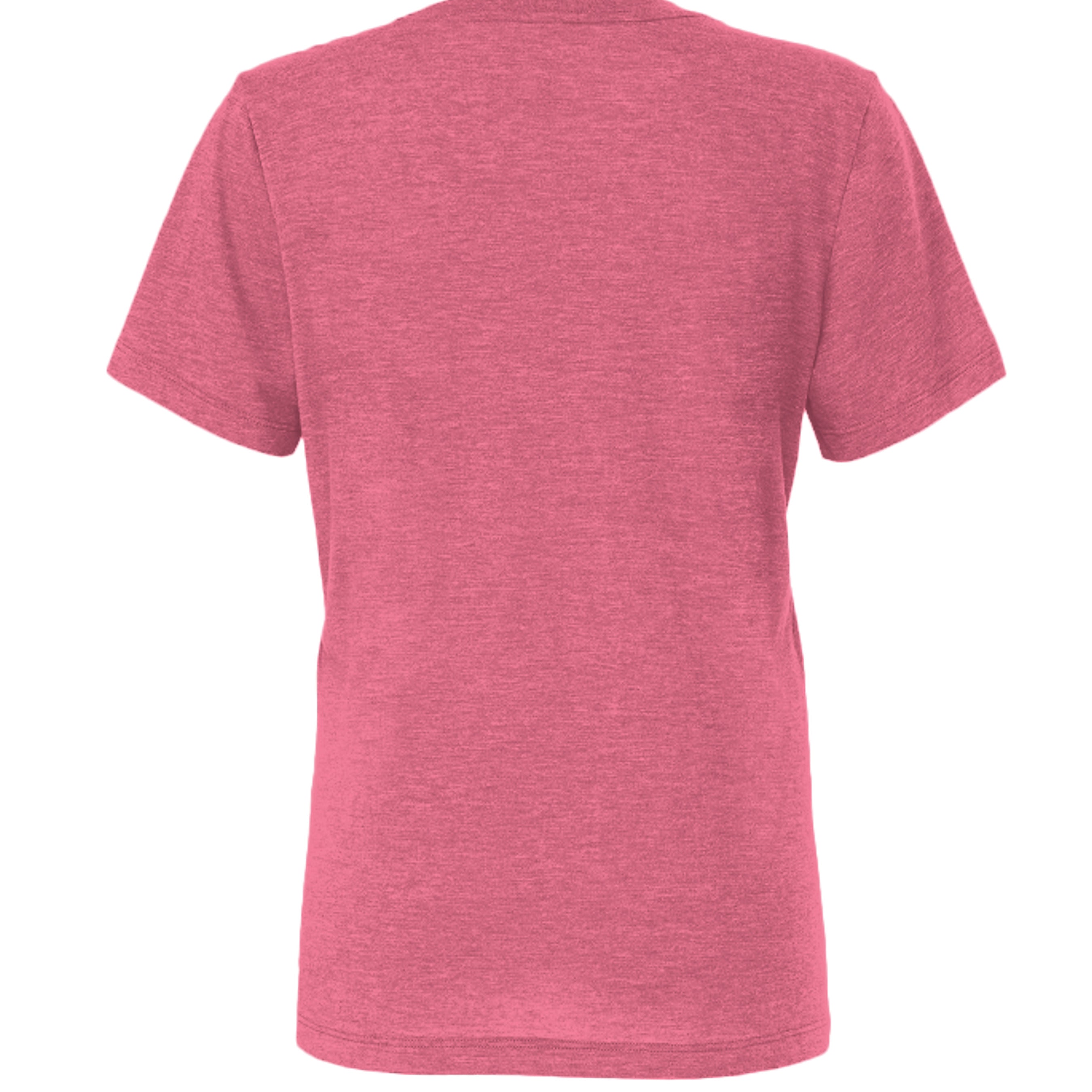 Char Pink Triblend - 6413 - BACK